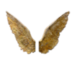 Wings_final for background.png